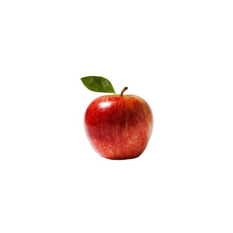 Product gallery 575