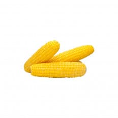 Product thumb gallery 593