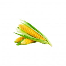 Product thumb gallery 595
