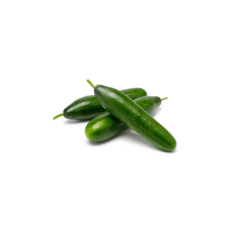 Product gallery 598