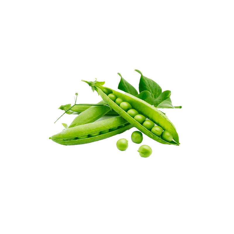 Product gallery 602