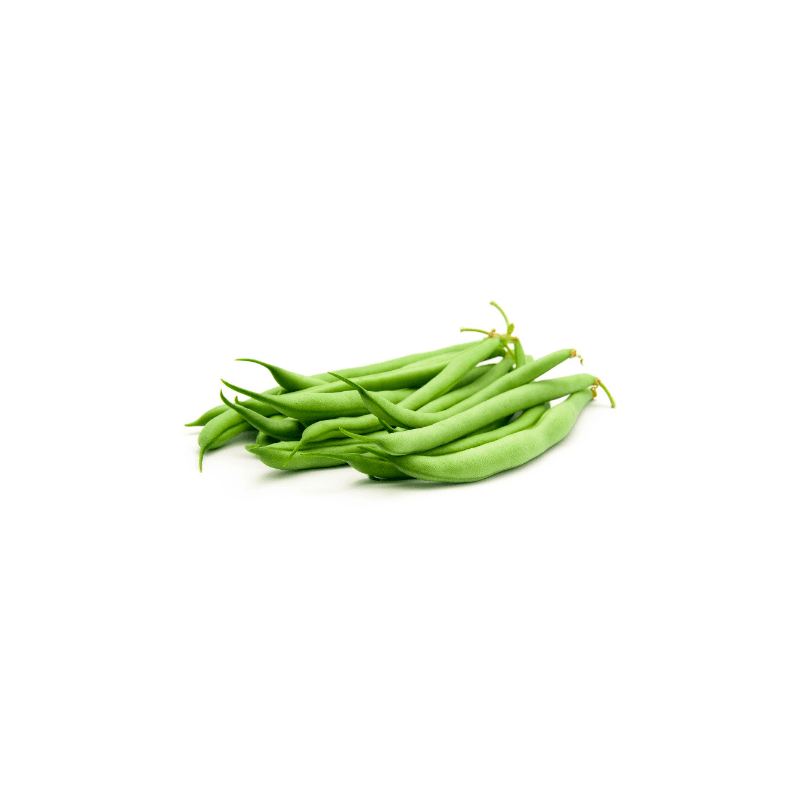 Product gallery 603